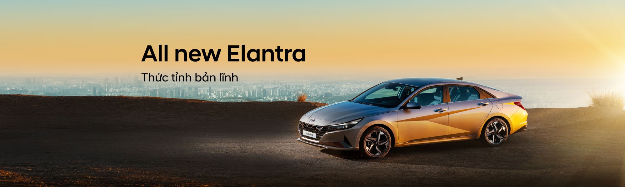 banner hyundai 2
